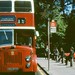 Alexander Crews Photo 10