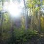 Sandra Thacker Photo 15