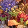 Cheryl Boyd Photo 29