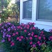 Sherry Heath Photo 9