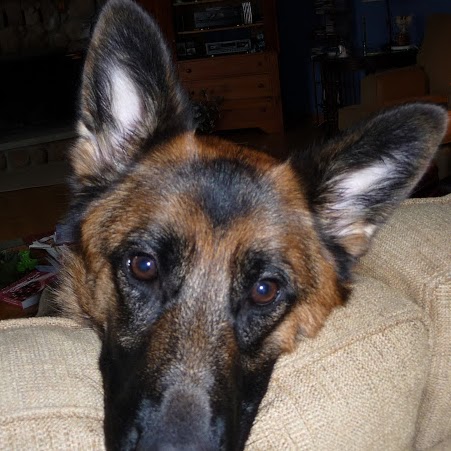 Randall Snider Photo 1