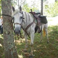 Kathy Johns Photo 29