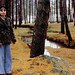 Gail Wood Photo 29