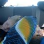 Stephanie Cottrell Photo 28