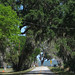 Dora Harris Photo 18