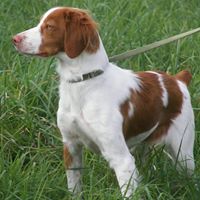 William Scanlon Photo 21