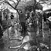 Al Abraham Photo 26
