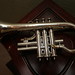 Mark Parsons Photo 19