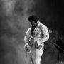 Richard Vickers Photo 27