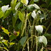 Nan Mu Photo 25