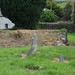 Patrick Monaghan Photo 48