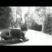 Andrew Felix Photo 26