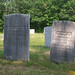 Susan Eastman Photo 16