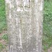 Susan Satterfield Photo 15