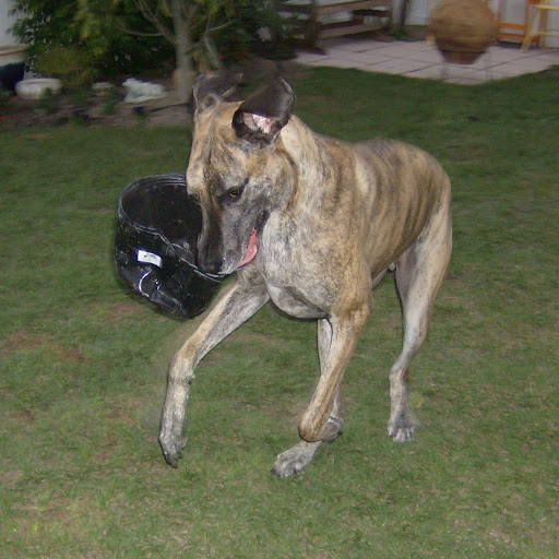 Janet Hayes Photo 12
