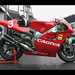 John Garriga Photo 8