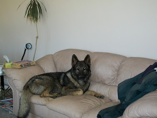 John Argo Photo 35