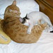 Robin Spaulding Photo 33