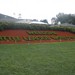 Joy Cartwright Photo 13