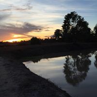John Wolfe Photo 34