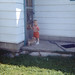 Michael Stambaugh Photo 7
