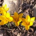 Nancy Kent Photo 21