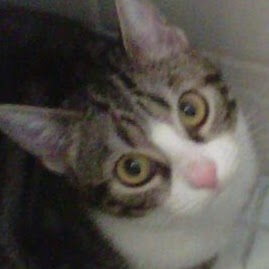 Elizabeth Wagner Photo 5