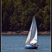 John Sloop Photo 5