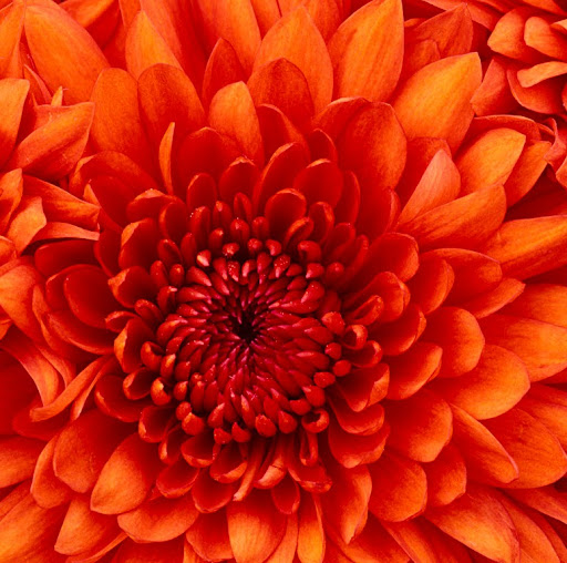 Amy Kirby Photo 39