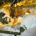Kim Snow Photo 21