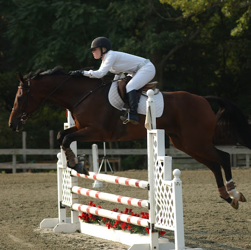 Elizabeth Moffly Photo 6