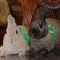 Sherry Ryan Photo 15