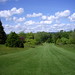 Harold Downing Photo 11