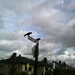 Edward Crow Photo 8