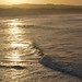 Dawn Phillips Photo 40