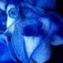 Linda Quick Photo 42