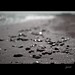 Mark Sassi Photo 11