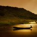 Elizabeth Parks Photo 32
