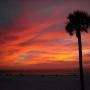 Matthew Poore Photo 6
