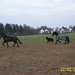 Dirk Henry Photo 12