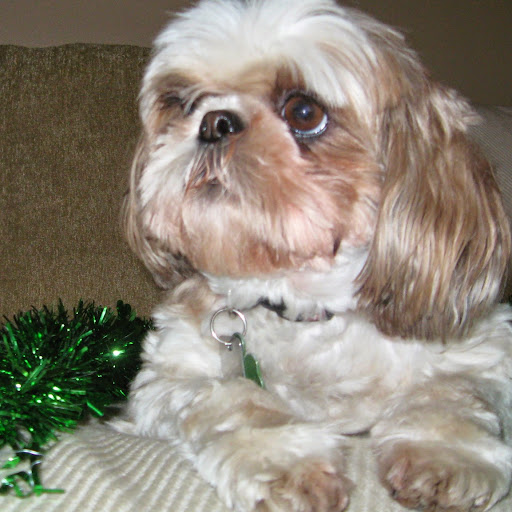 Ruby Tate Photo 4