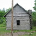 Ann Reynolds Photo 34