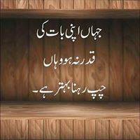 Muhammad Faisal Photo 25