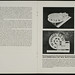 Arthur Mueller Photo 14