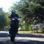 Shane Ellis Photo 48