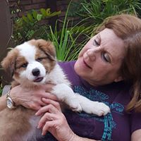 Sharon Rogers Photo 14