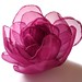 Ruby Flowers Photo 21