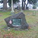 Elizabeth Lew Photo 12