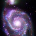 Ray Beckwith Photo 17