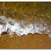 Sandy Whiting Photo 28